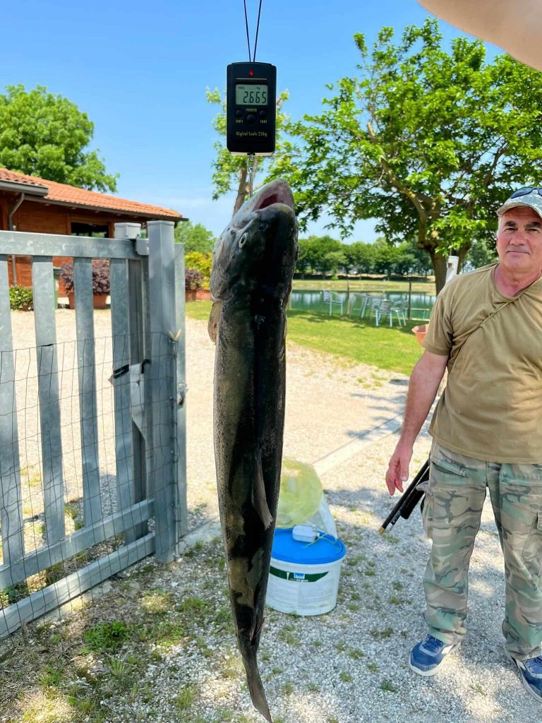 Laghetti Trambacche Pesca